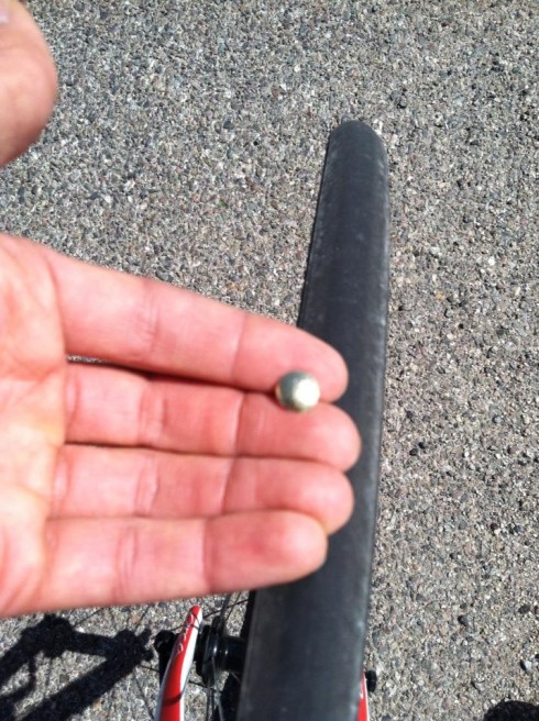 This tack caused a flat for Christian Maldonado while riding Catalina Highway on Friday. Photo courtesy of Christian Maldonado