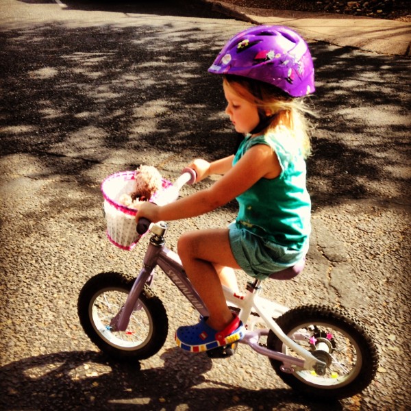 Luci takes her bear to the grocery store in her new basket. 