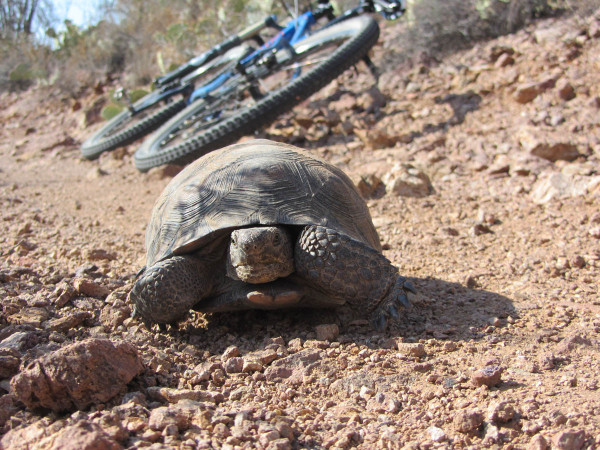 You want to race? Photo by Abigail Limmer