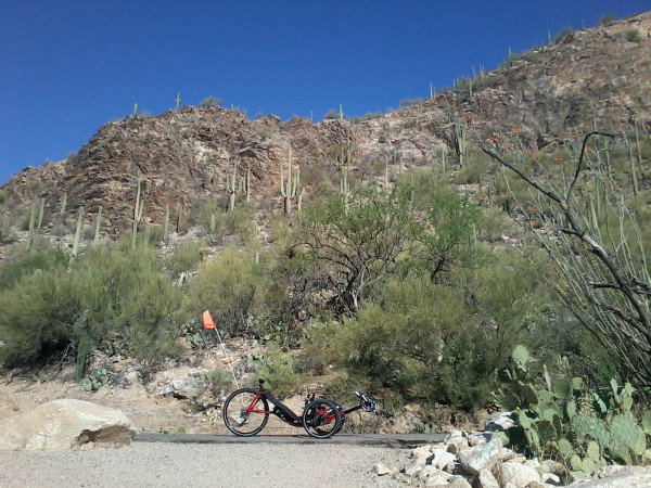 Sabino Canyon by Bill Raley