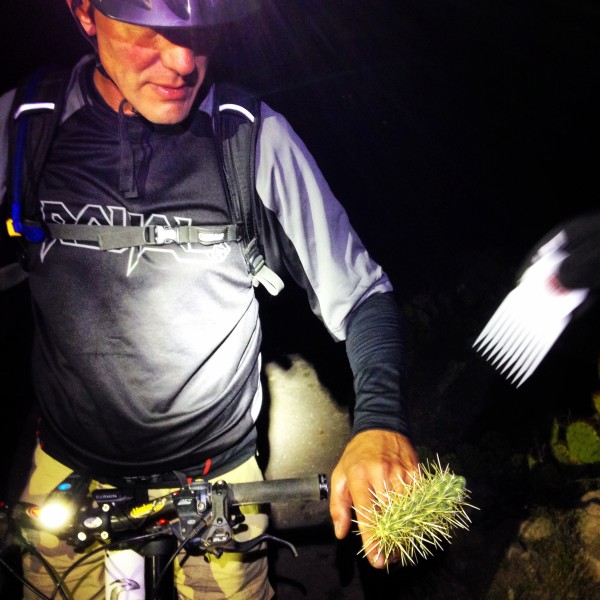 cactushand