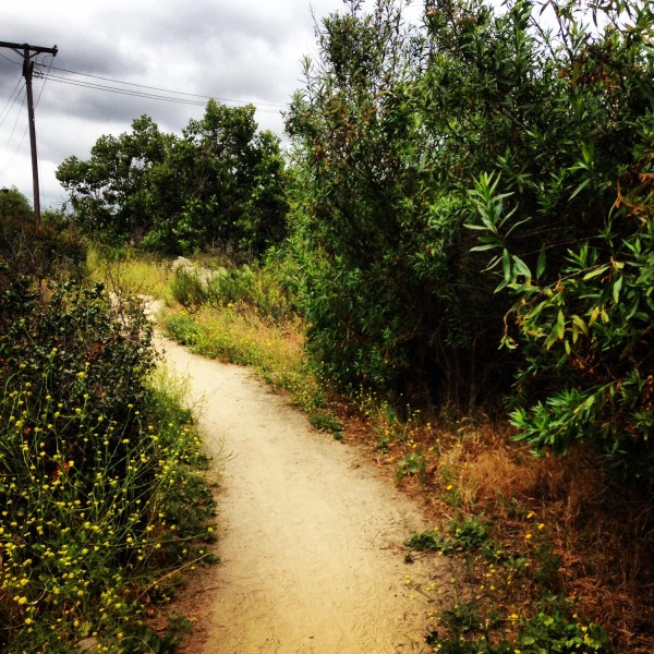 One of the narrower sections of trail at Balboa Park in San Diego. 