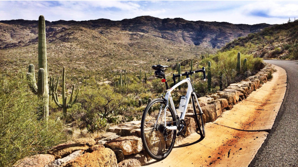 Solo ridin' through Saguaro National Park east by Dylan Martin