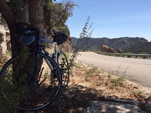 Shade breaks were required. At one point my Garmin registered a temperature of 104 while on the mountain. 