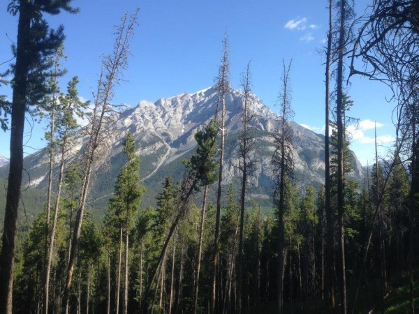 The views from Banff. Photo by Elliot DuMont.