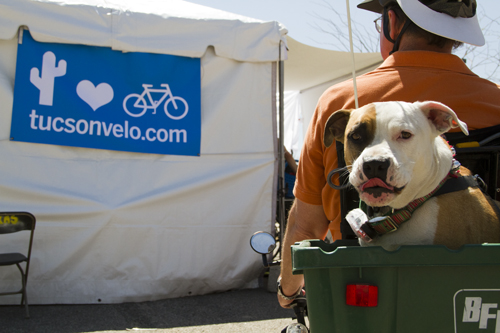 A man and his dog wait in line to have their picture taken by a tucsonvelo.com photographer during Cyclovia, a car-free day of bike riding, in Tucson Ariz on 28 March 2011.  Tucsonvelo.com is a local bike news blog run by Michael McKisson.