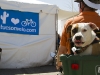 A man and his dog wait in line to have their picture taken by a tucsonvelo.com photographer during Cyclovia, a car-free day of bike riding, in Tucson Ariz on 28 March 2011.  Tucsonvelo.com is a local bike news blog run by Michael McKisson.