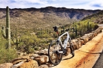 Caption: Solo ridin' through Saguaro National Park east by Dylan Martin