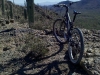 tucson-mountain-park-e8913056aa2b4e7b3a0af4aea8055d3c023cc915