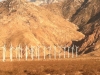 image-11-view-from-train041912
