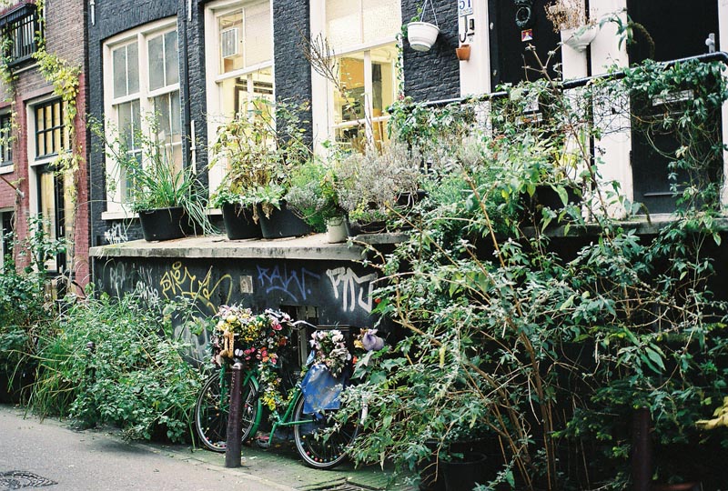 Susan\'s Amsterdam flower bike